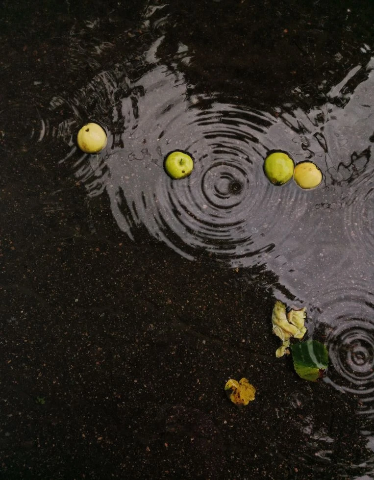 🌧️ Магия дождей на холстах природы