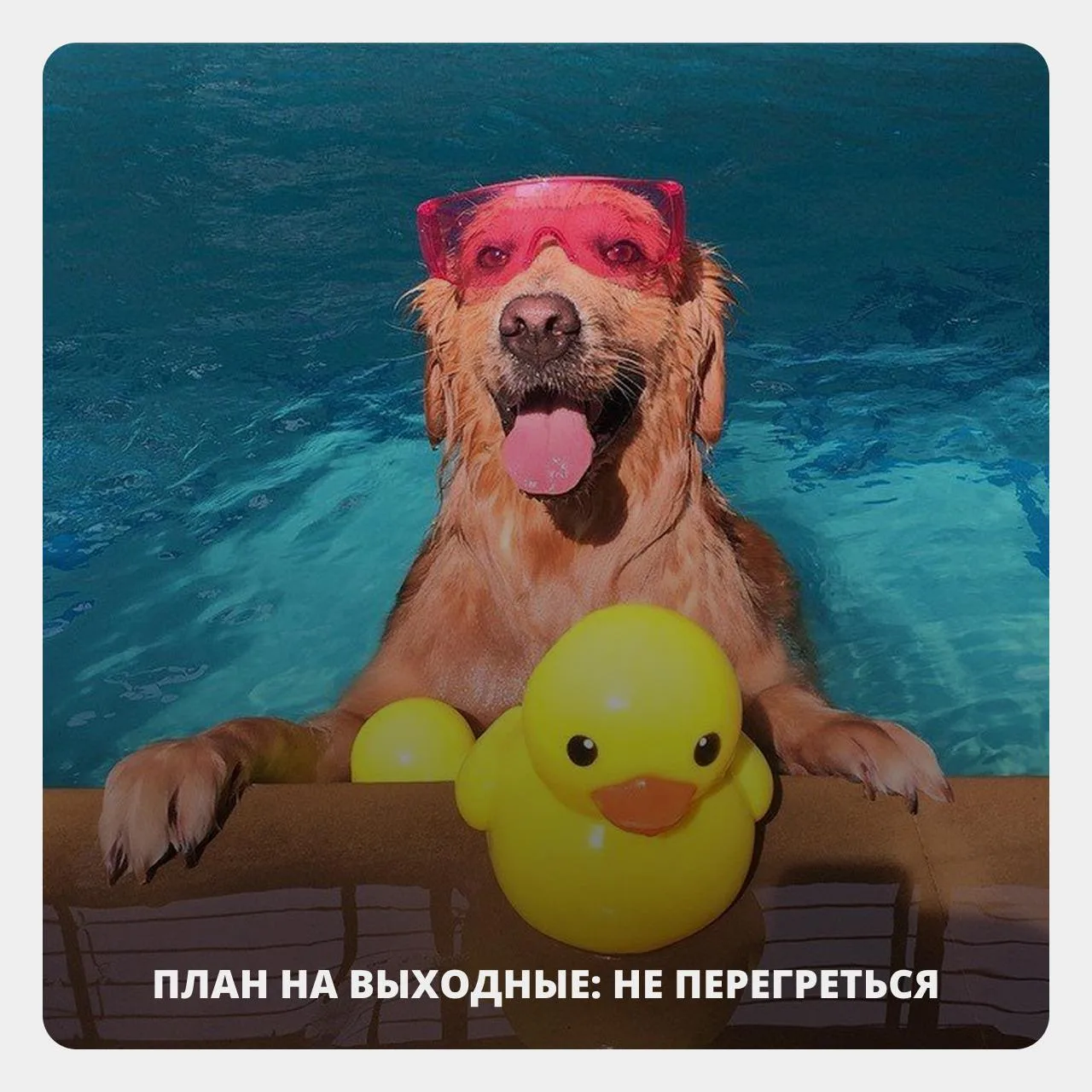Где спрятаться от жары: отели с бассейнами и спа, куда можно уехать на день из Москвы ☀️