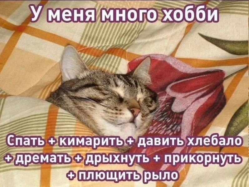 МЕМАСНАЯ