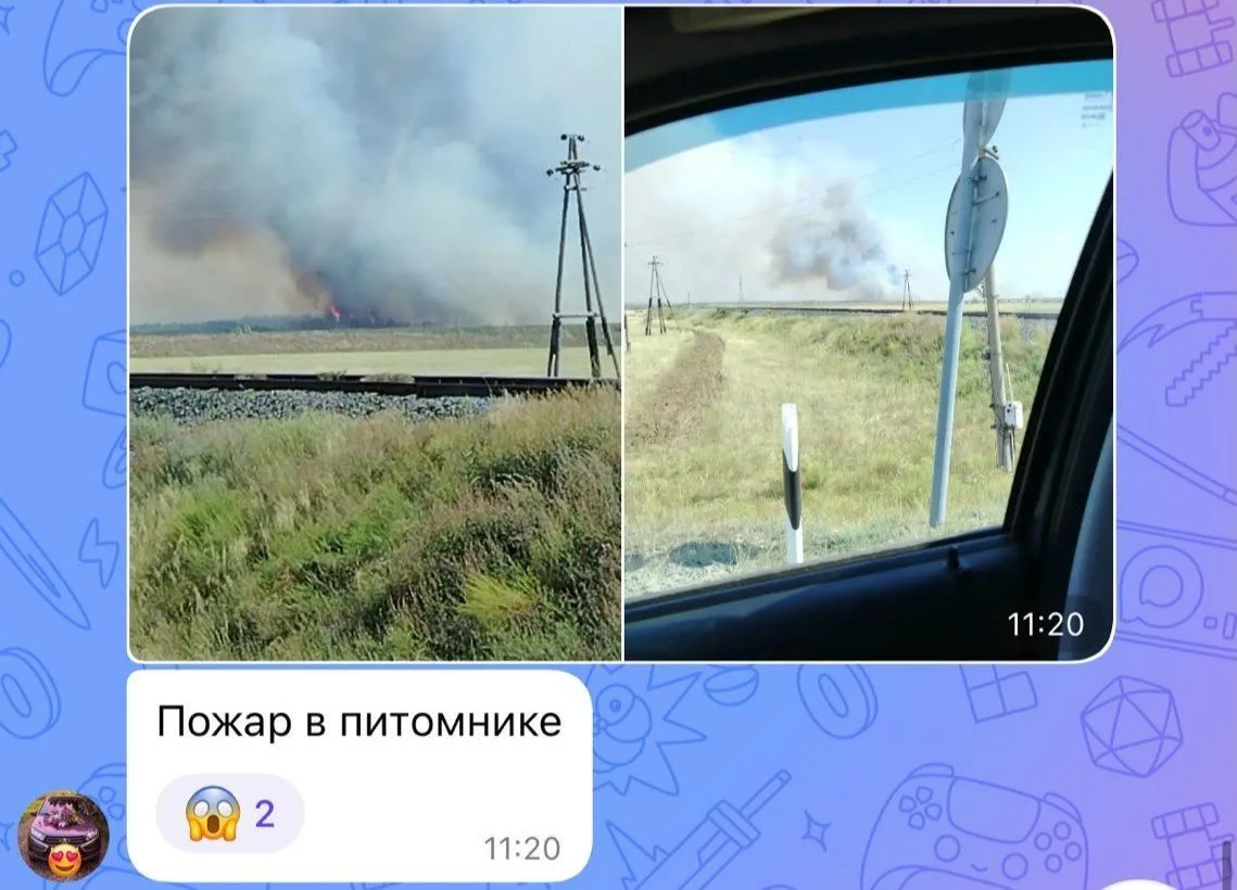 ❗️Поселок Домбаровский горит питомник