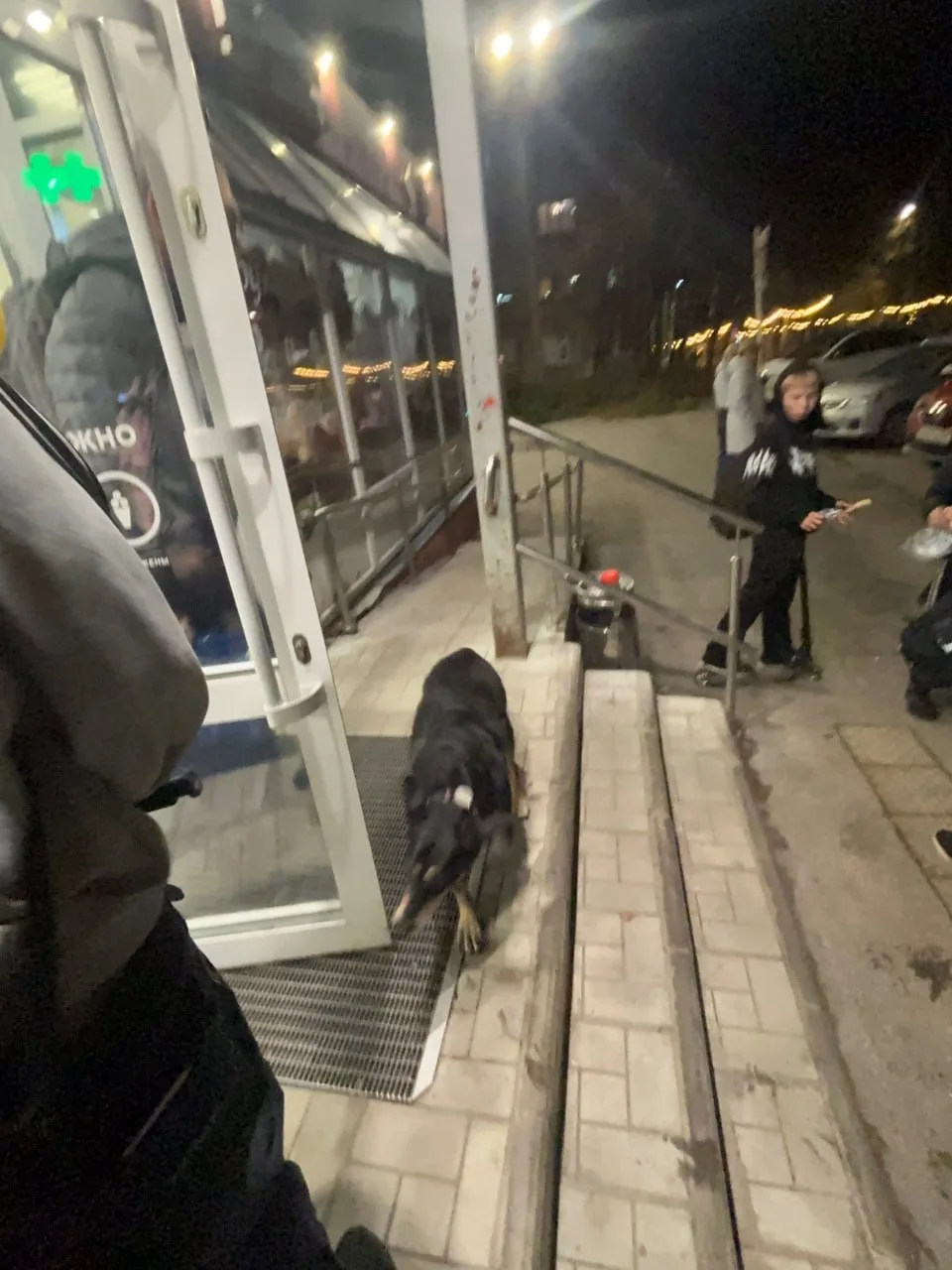 😔В Кандалакше ищут садиста, который прилюдно избил свою собаку.