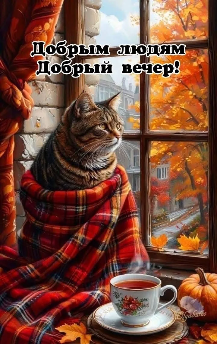 🎁Поздравления и открытки