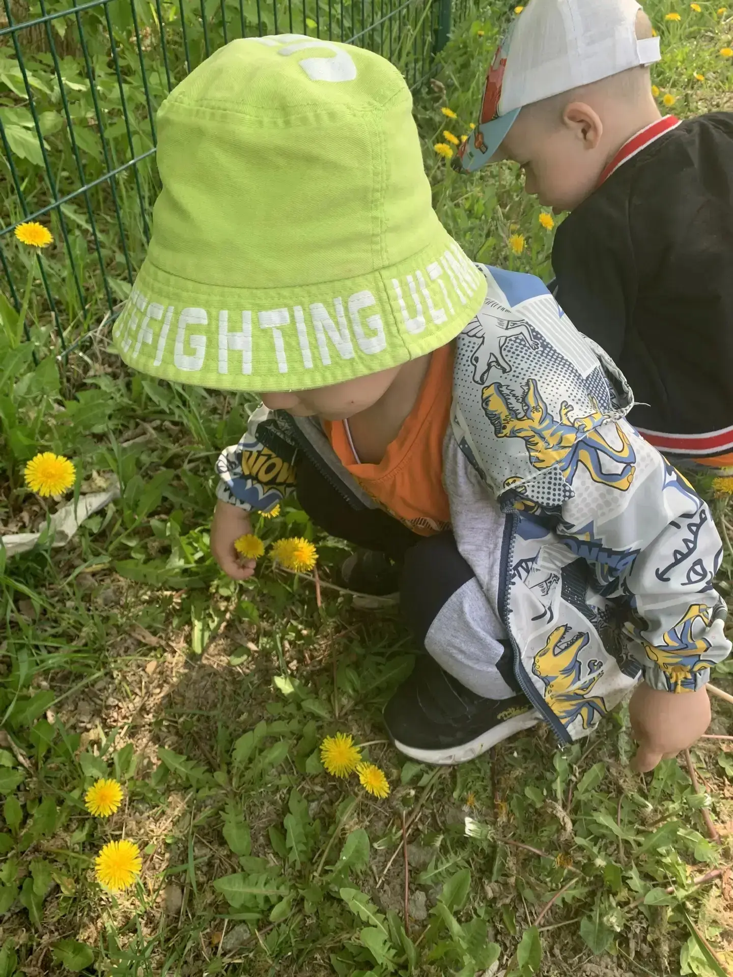 🌼 Сегодня на прогулке малыши из младшей группы познакомились с настоящим чудом природы — одуванчиком