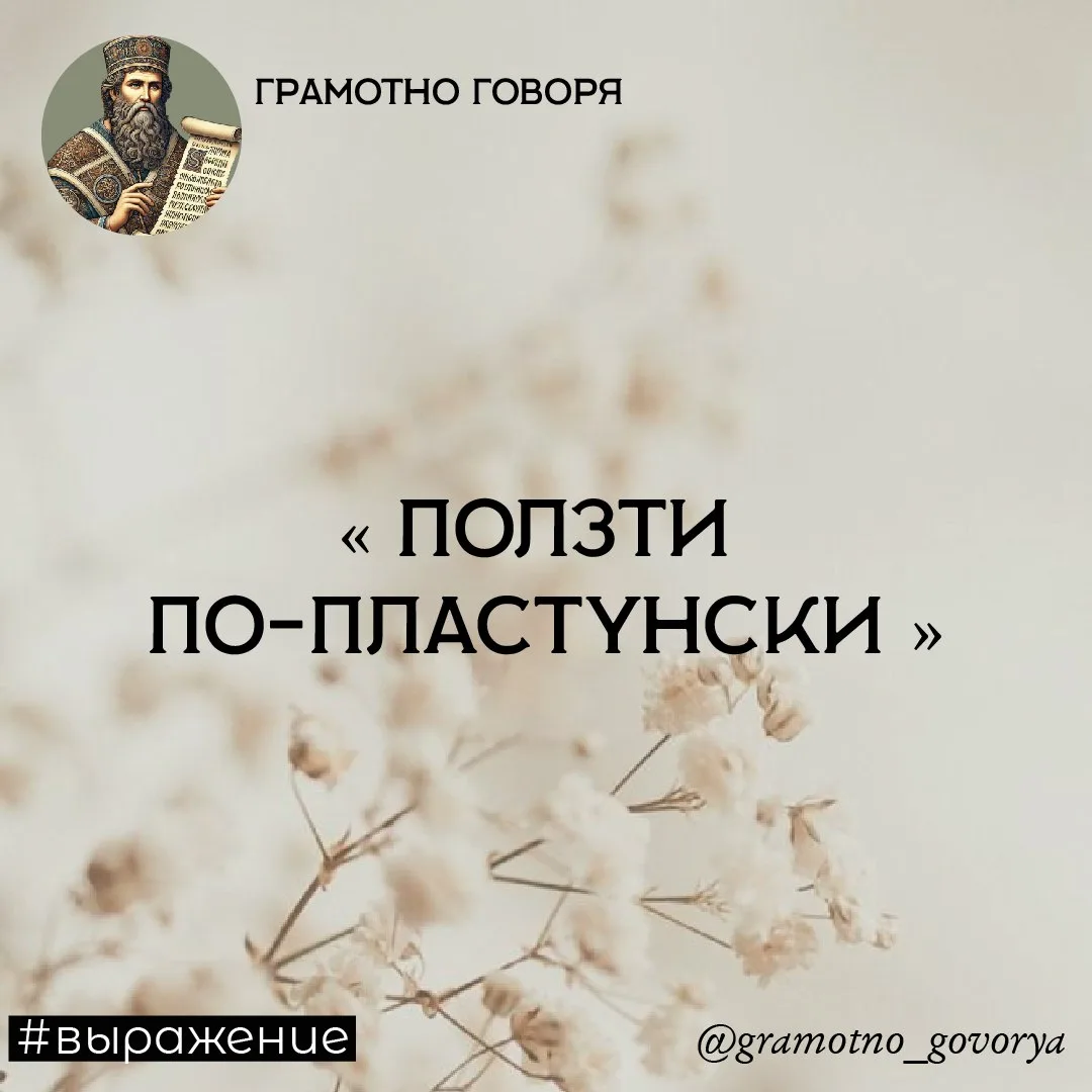 Ползти на локтях, не отрывая тела от земли.

• Пластуны — это военные разведчики. Во время военных д