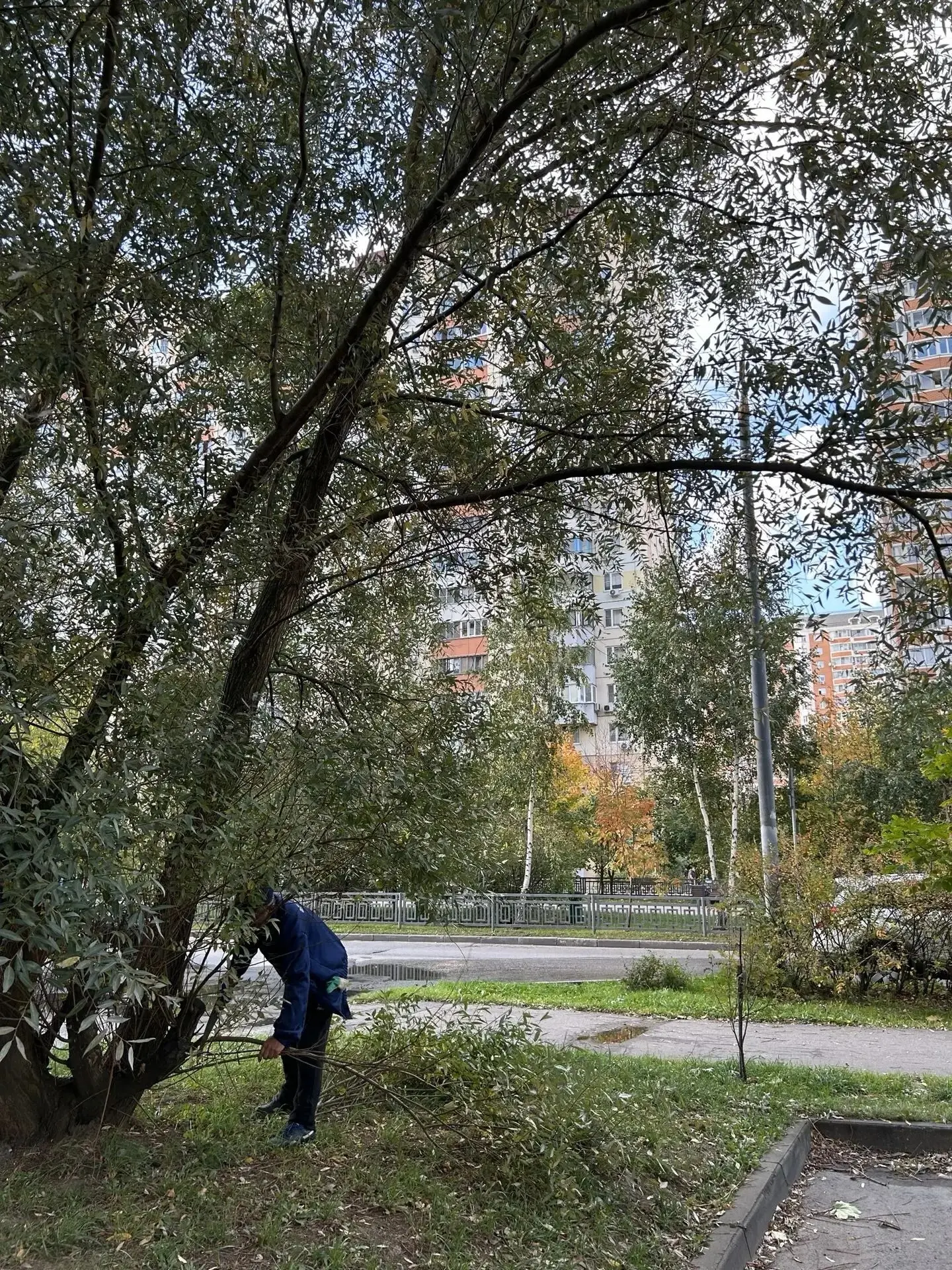 🧰 Деятельность компании «Водоканал «Павшино» по управлению многоквартирными домами охв...