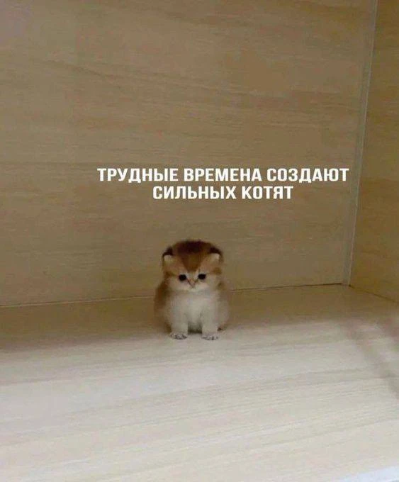 Лучшие исполнители АПРЕЛЯ: