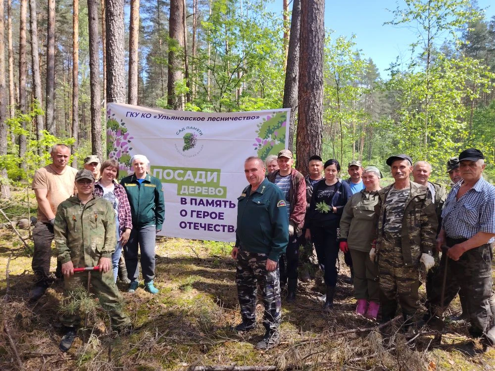 🌲✨ Ульяновское лесничество стало ещё зеленее! ✨🌲