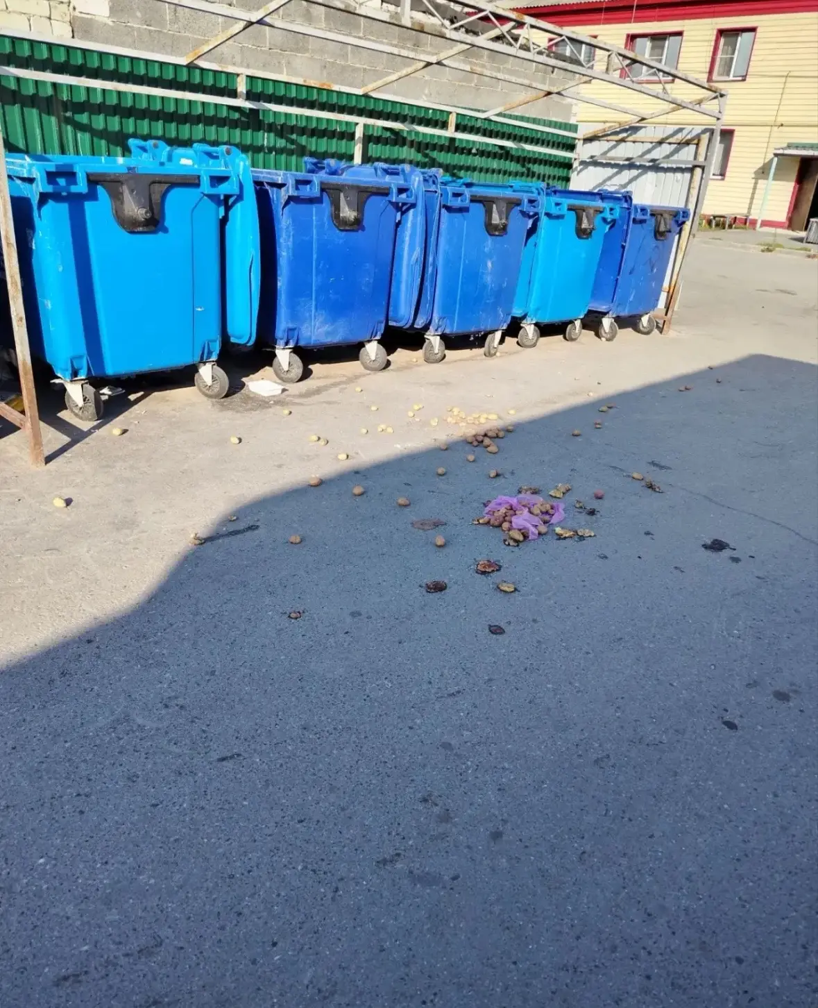 🗑️ Свинство в Богандинском устраивают сами люди