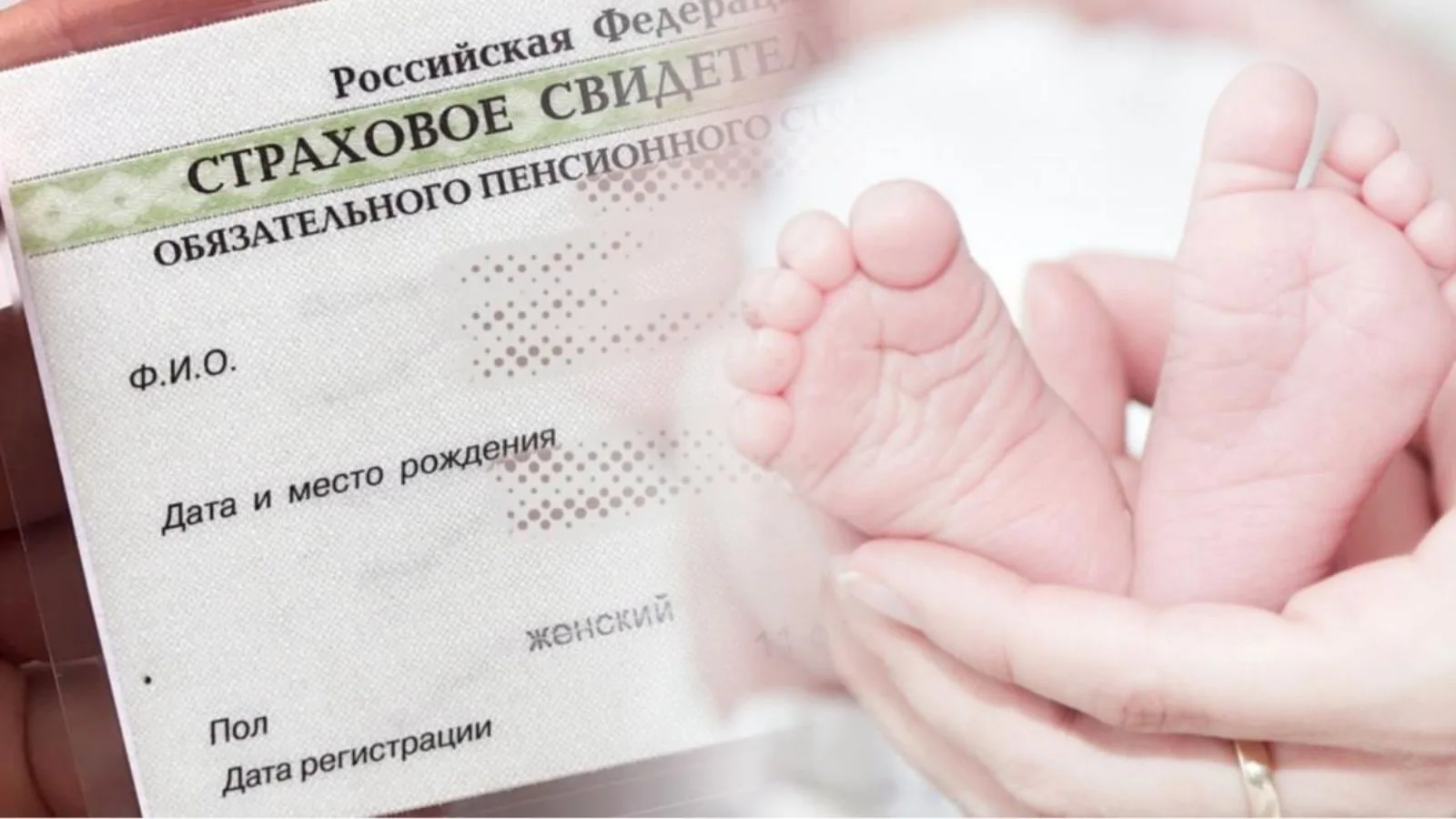 Свыше 12 тысяч СНИЛС через Интернет получили новосибирские родители на новорожденных ма...