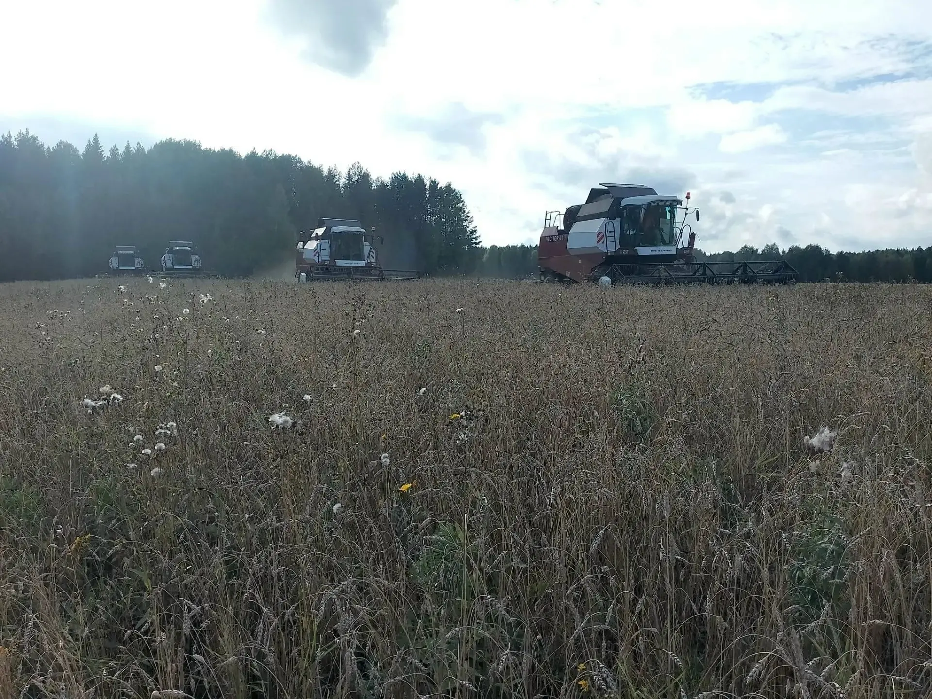 🚜Аграрии Юсьвинского округа приступили к уборке урожая
