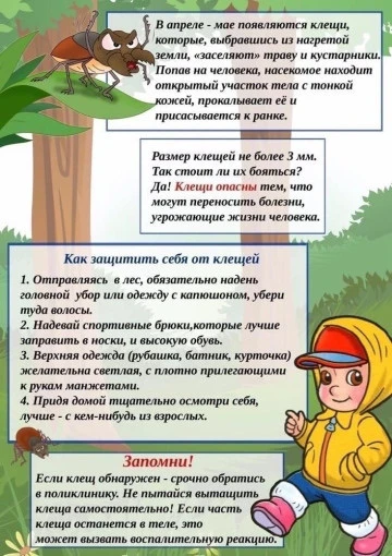 ❗️ Важно: памятка по клещам для родителей