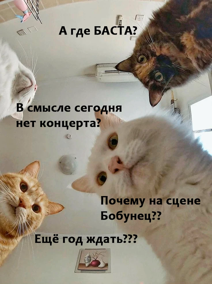 ⚡️ATTENTION! Если вы собираетесь к нам 19 июня на концерт Басты, проверьте год на билете.

Завтра, 1