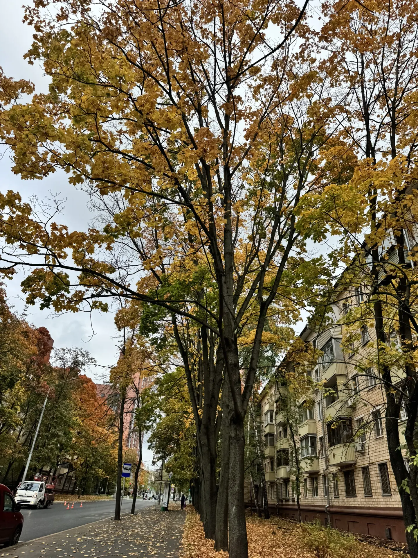 Доброго времени суток, дорогие ☀️