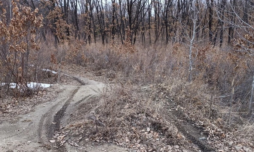 🏍 Любители эндуро уничтожают уникальную природу в окрестностях Благовещенска  В Приамурье растет чис