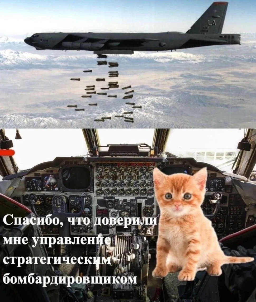 Я вас не подведу🫡
