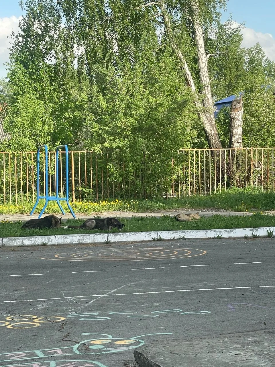 Добрый день. В детском садике 43 (48) заведующая бездействует относительно бездомных со...
