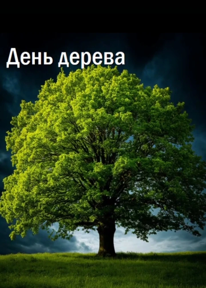 Сегодня у нас был по-настоящему добрый и познавательный день — День дерева! 🌳 Мы с ребятами внимате