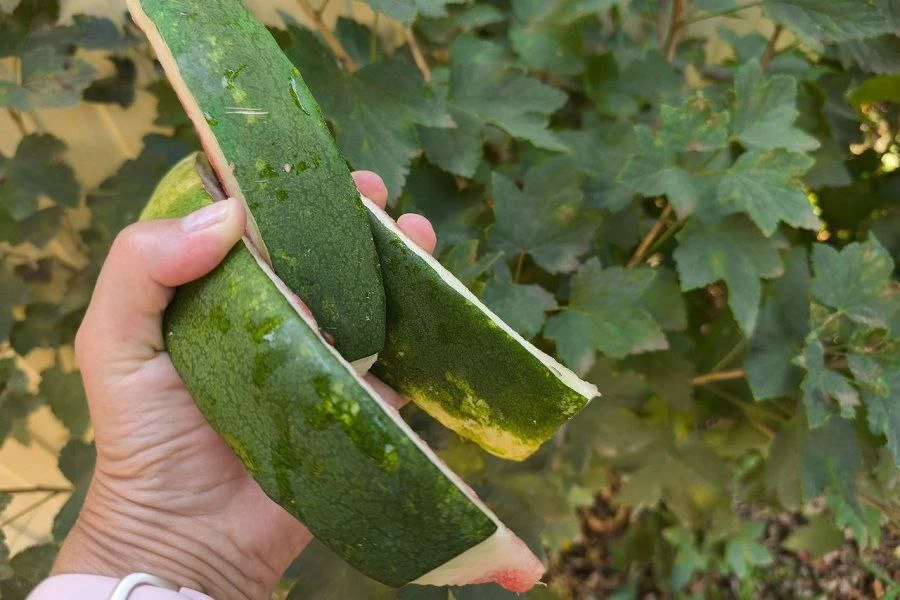 🍉 Начался сезон арбузов, и это прекрасно, причем не только потому, что вкусно, но и потому, что пол