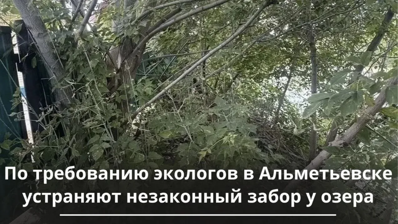 Незаконный забор у водоёма установил житель Альметьевска