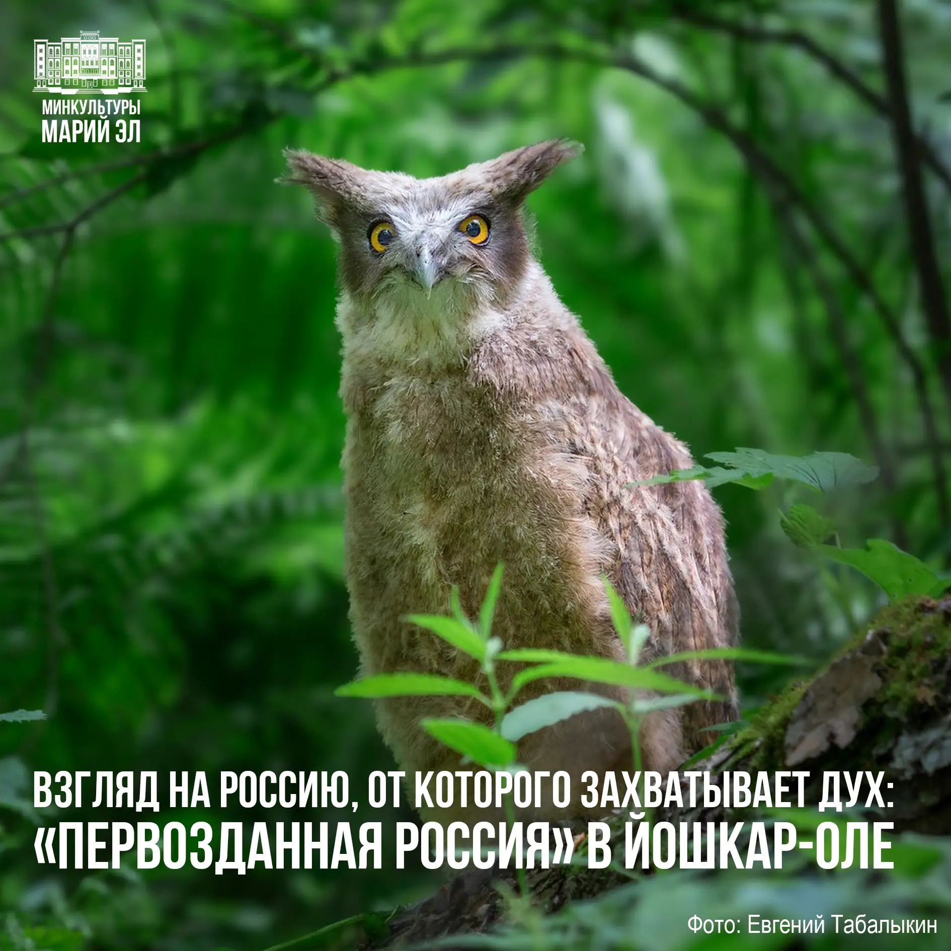 Когда смотришь на эти снимки, понимаешь: Россия — это не страна. Это чувство. Которое ж...