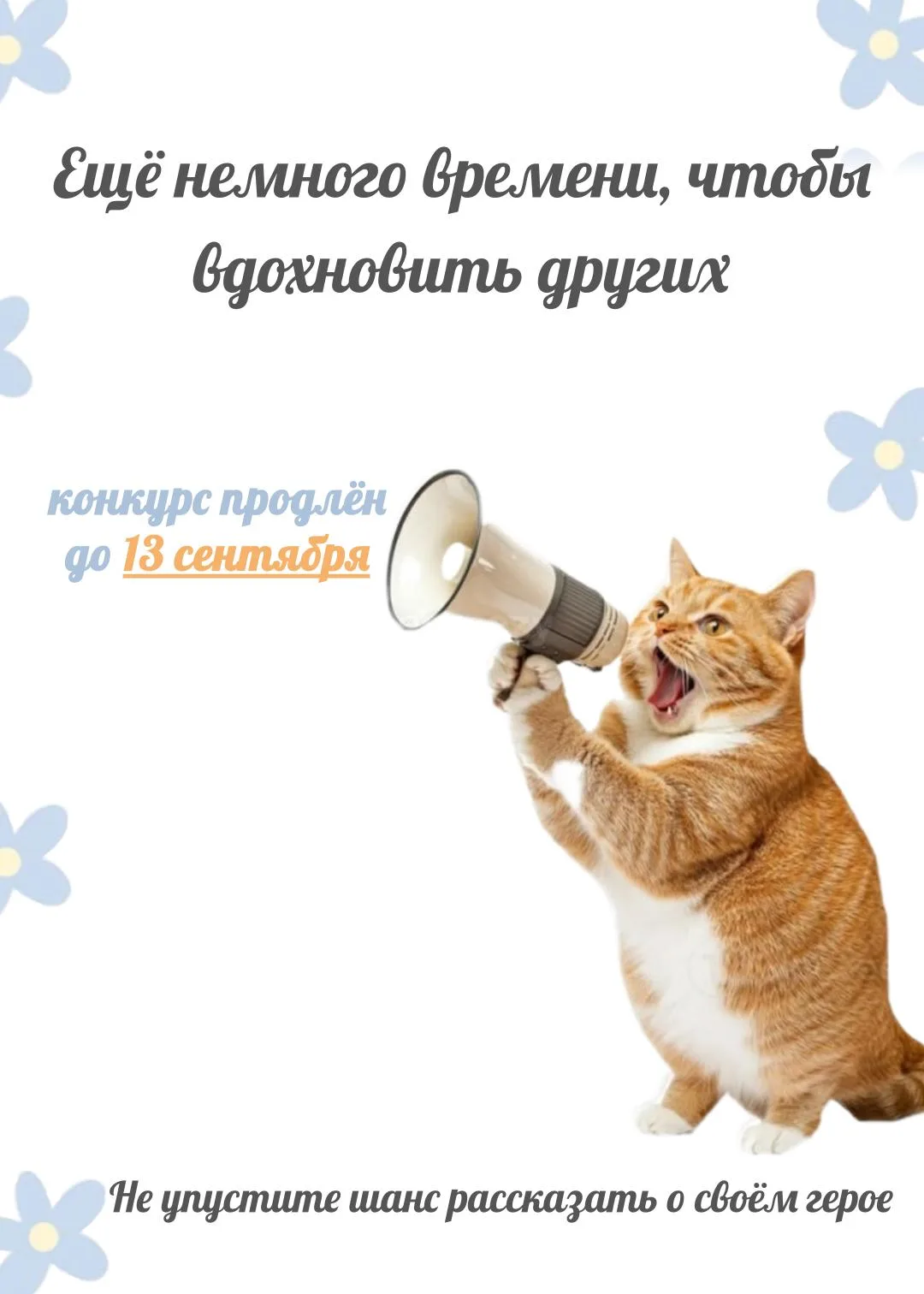Конкурс «Мой хвостатый герой» продлевается!