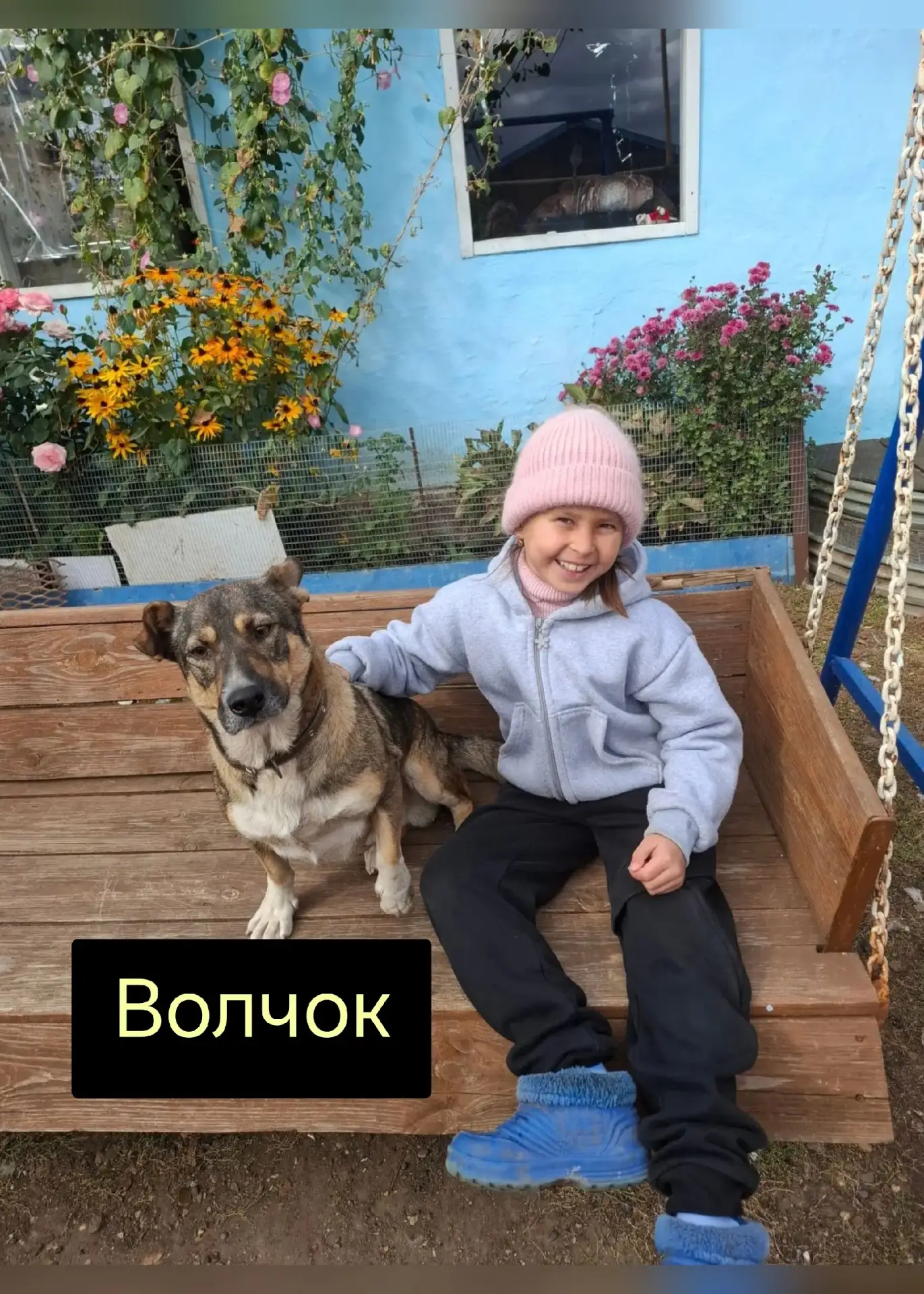 🐕 С большим энтузиазмом наши первичные отделения приняли участие во всероссийской акци...