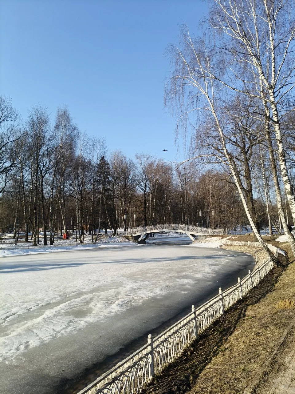 Солнечное мартовское утро в Лианозовском парке ☀️