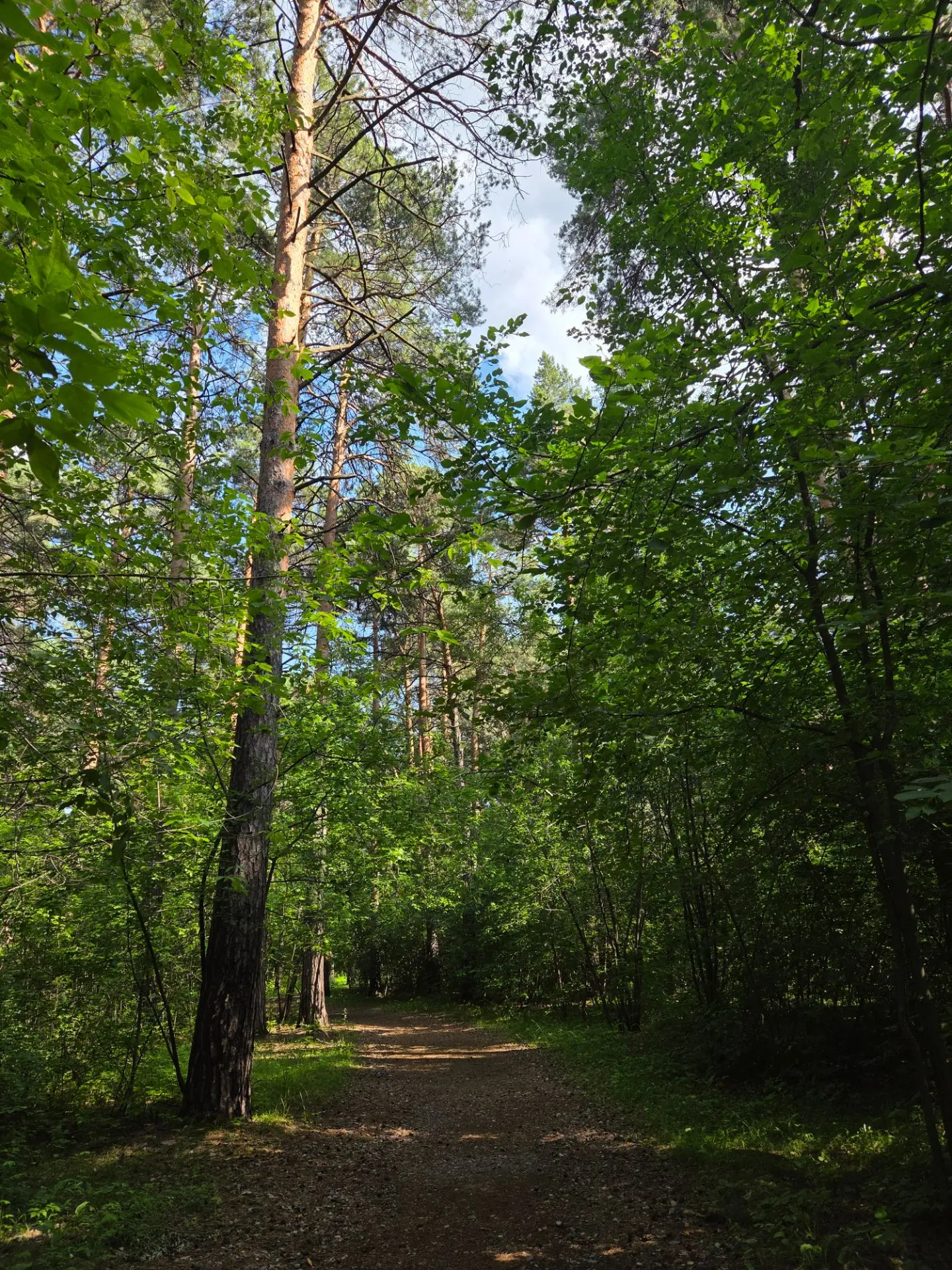 20 июня 🍃