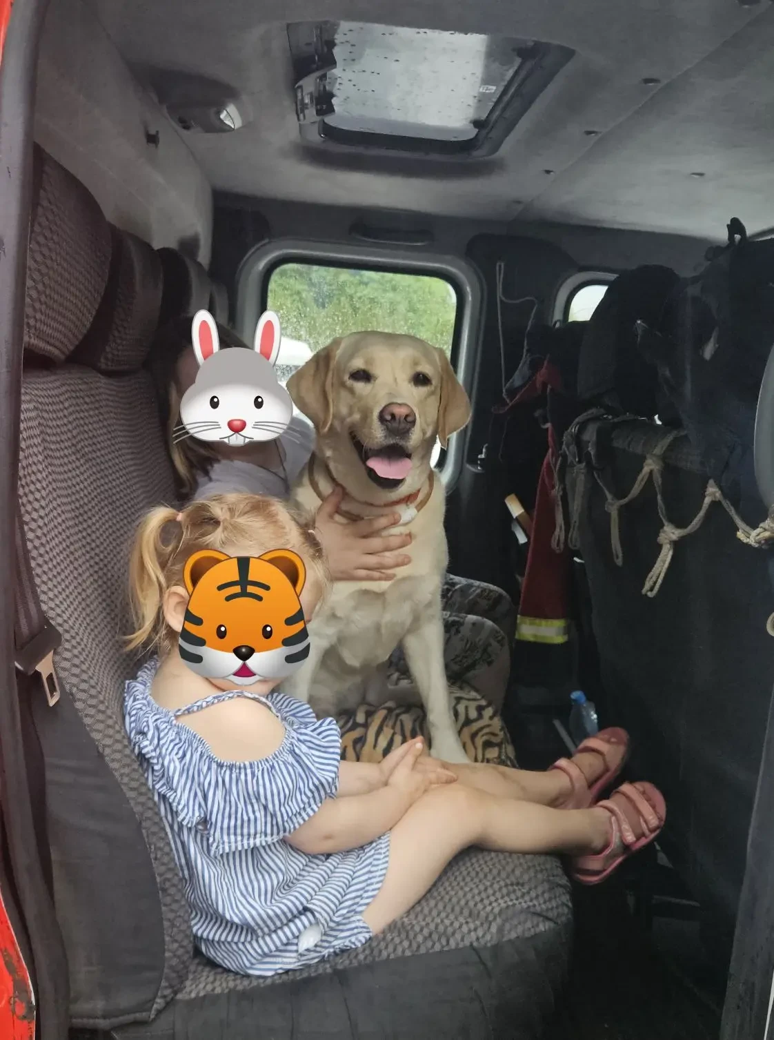 🐕#ДежурнаяСмена