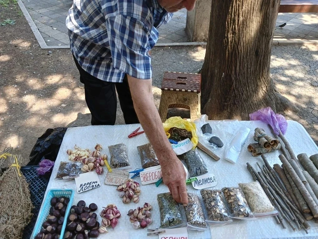 Осиновые колья и полынь продают в центре Туапсе

Николай Васильевич, внук, как он утверждает, потомс