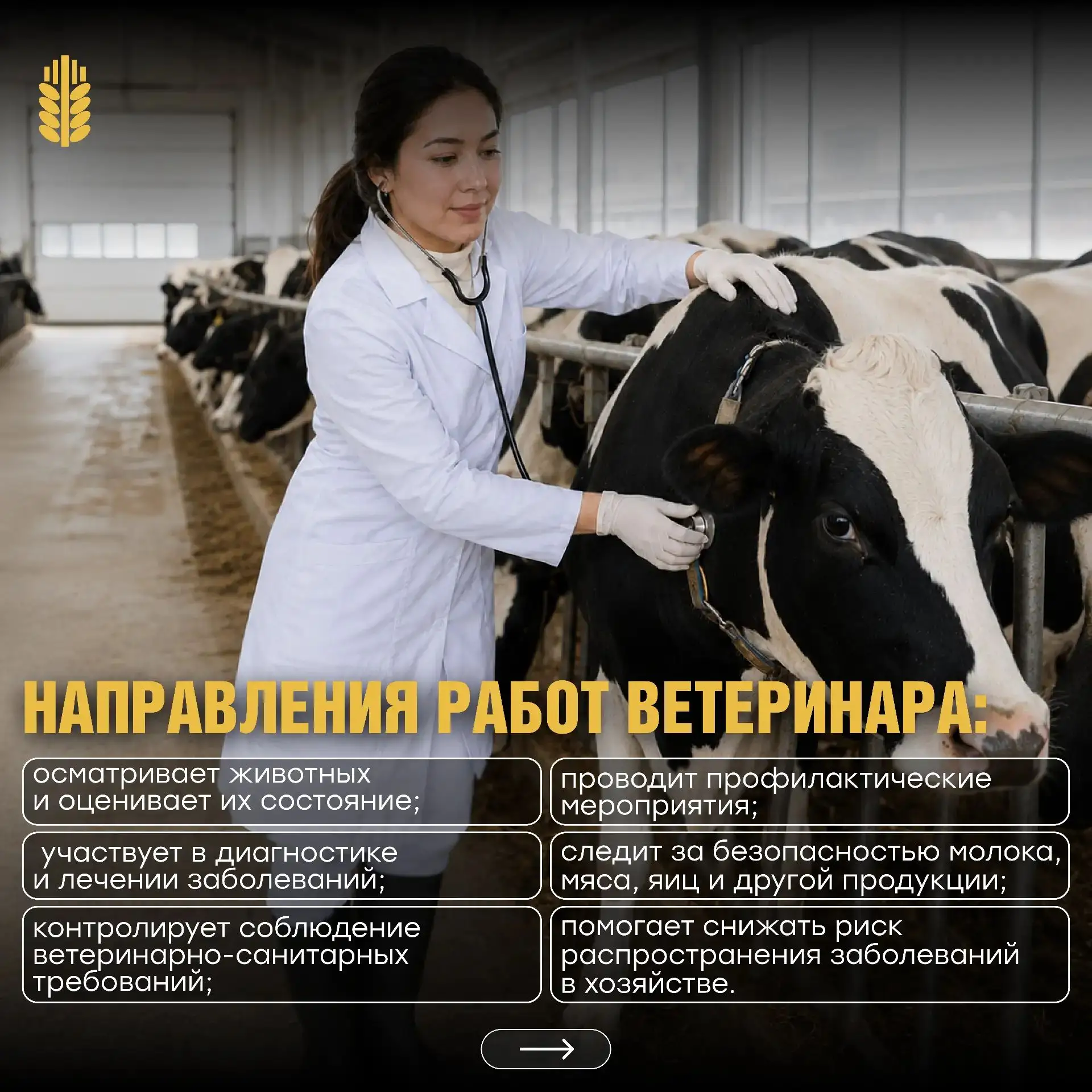 Забота о животных и уверенность в качестве продукции!