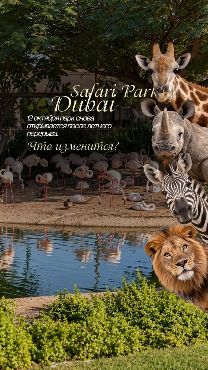 Dubai Safari Park возвращается! 🔥