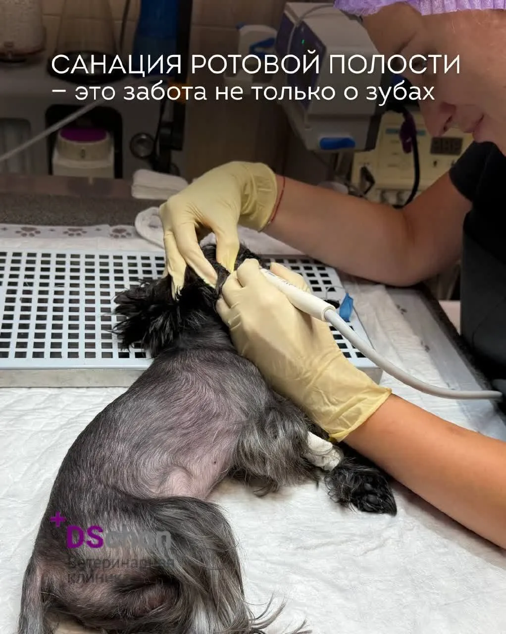 🦷 Санация ротовой полости — забота не только о зубах
