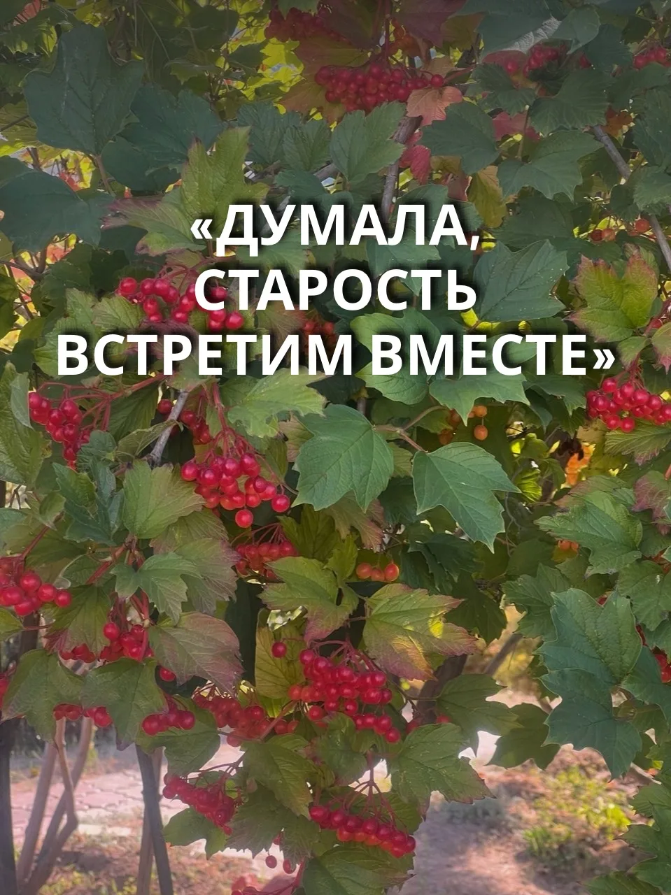 «Думала, старость встретим вместе»