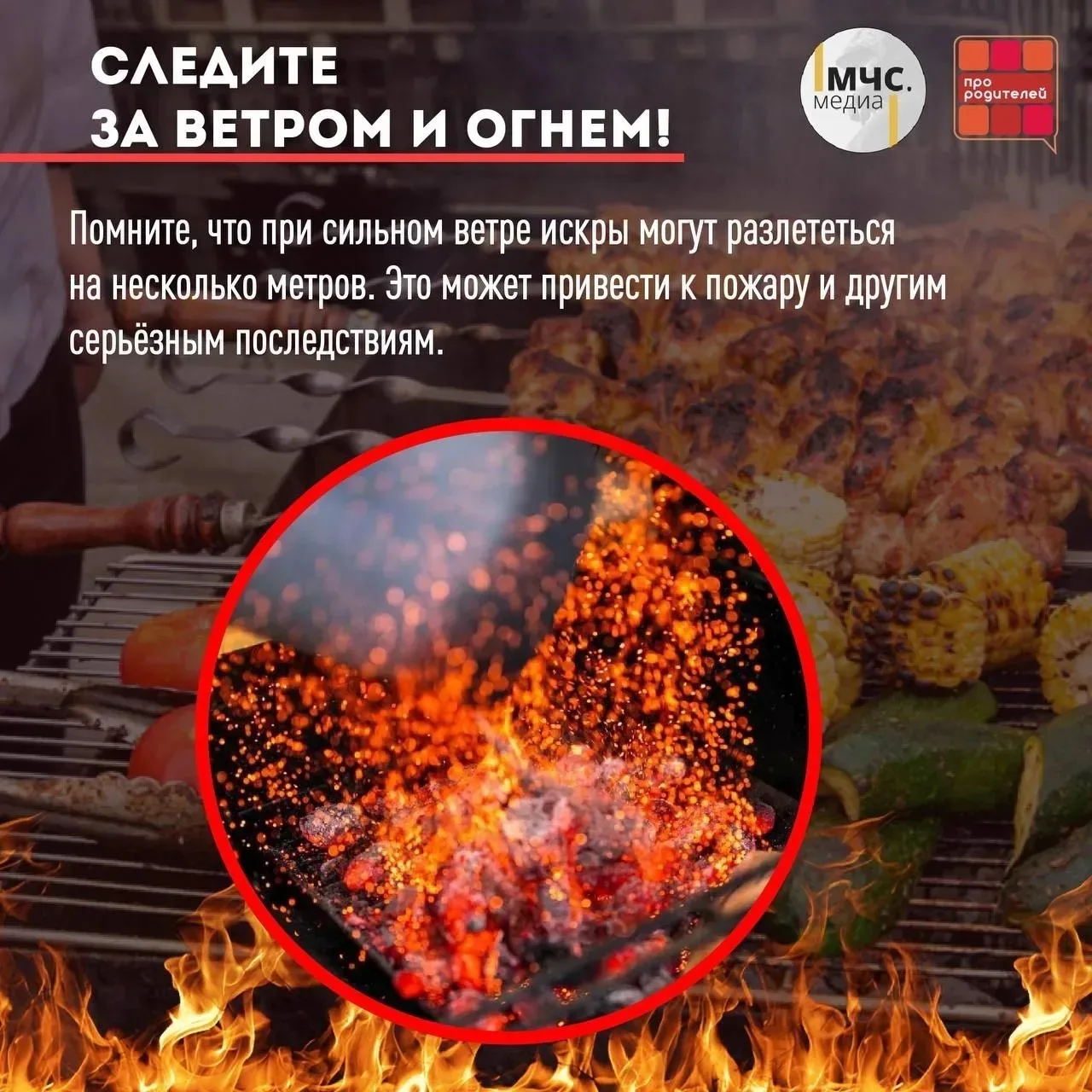 🌿Безопасные майские праздники!