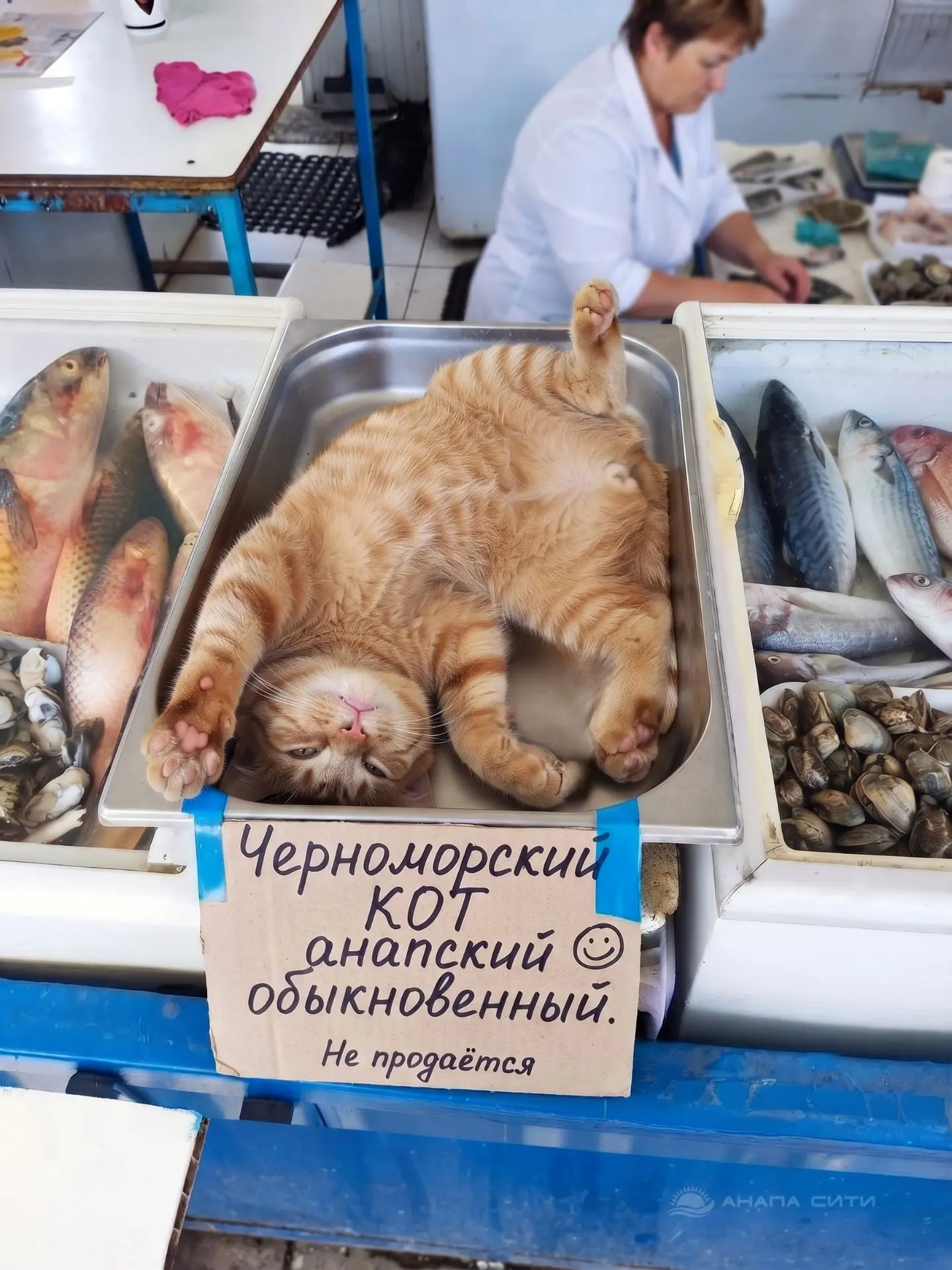 😂 Хорошего дня!