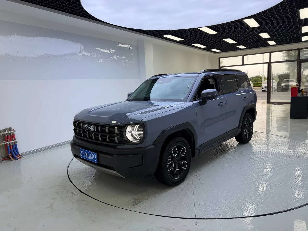🌟 🐶 Haval Cool Dog: «Злой» пёс для городских джунглей!
