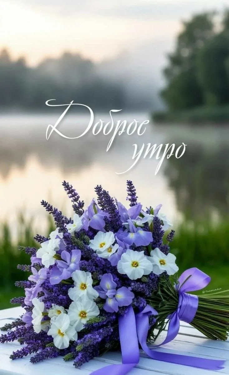 Красивые открытки❤️