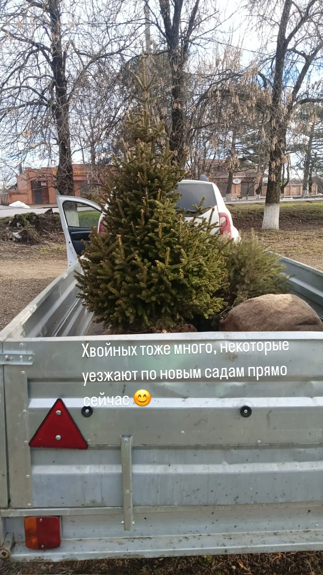 Садовый центр работает каждый день с 8.00 до 18.00 г.Армавир, ул.Ефремова, 354