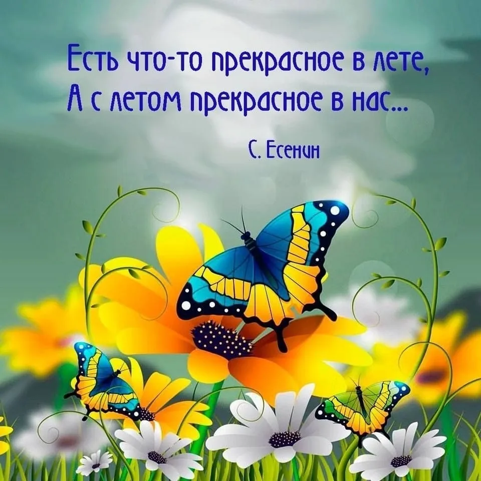 Вот лето и пришло, так неожиданно и так волнительно. А какое оно будет?