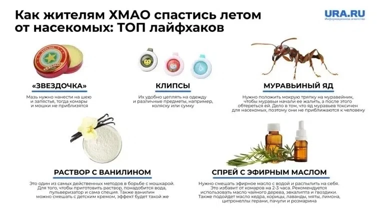 Как защититься от мошек, комаров.

Жаркая погода грозит многими неприятностями. Среди них и увеличен