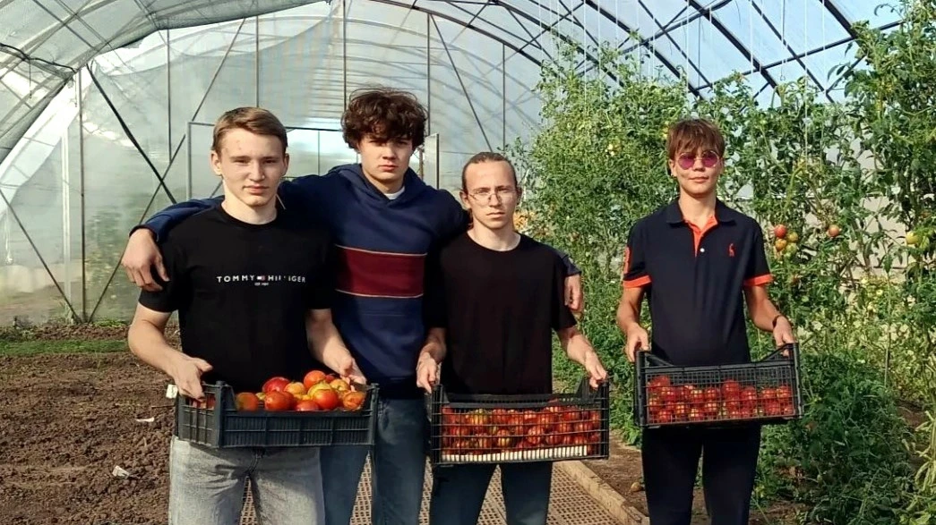 🎉 Богатый урожай в теплице - наша гордость! 🎉