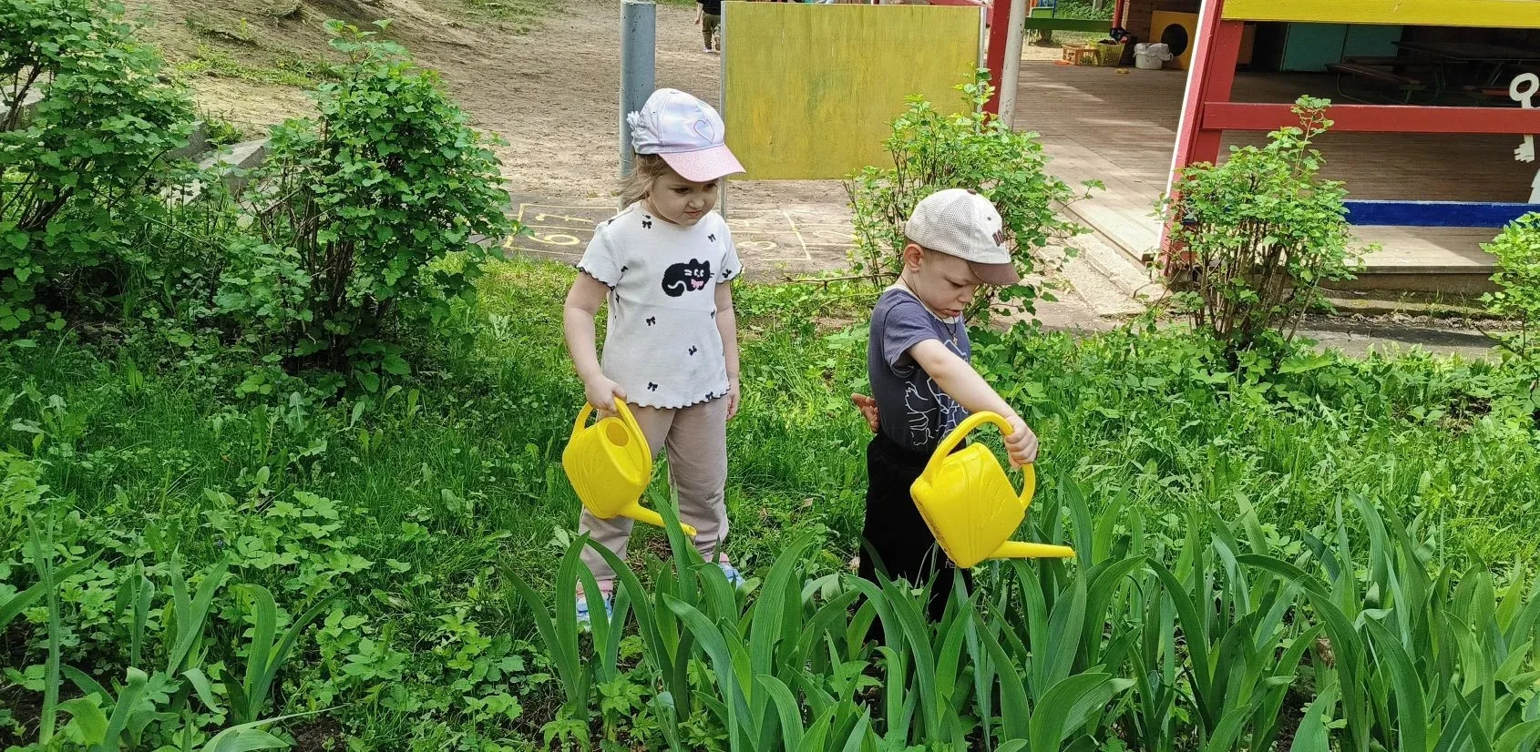 ☘️В группе № 11 проходит тематическая неделя «Растения весной».