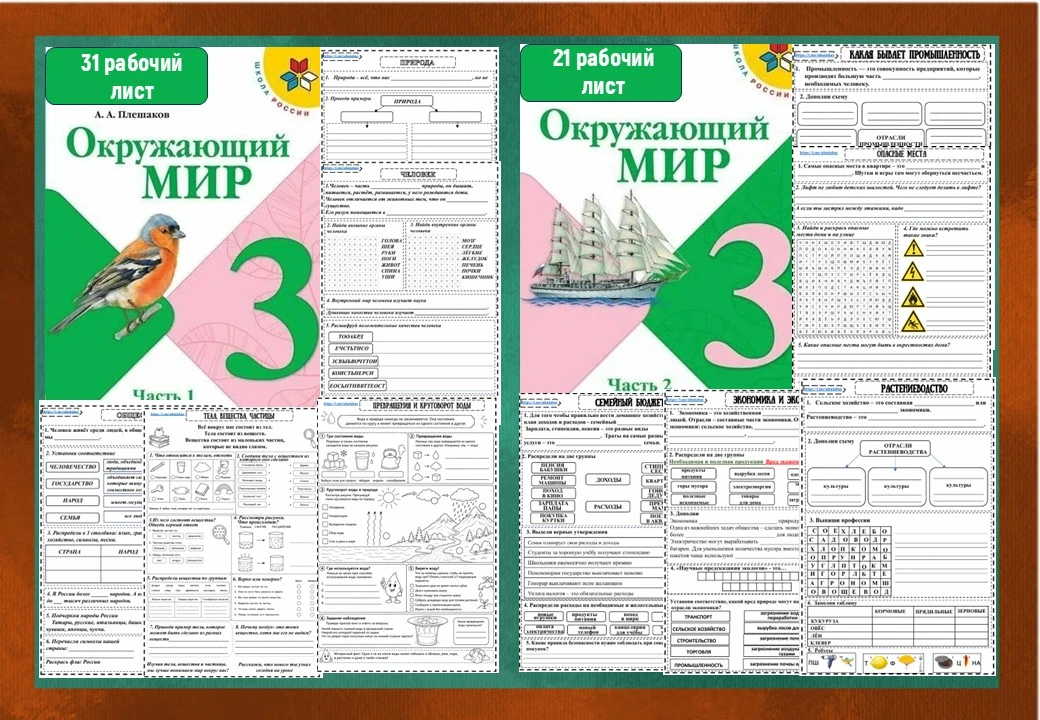 🌍 Рабочие листы по окружающему миру для 3 класса уже готовы!