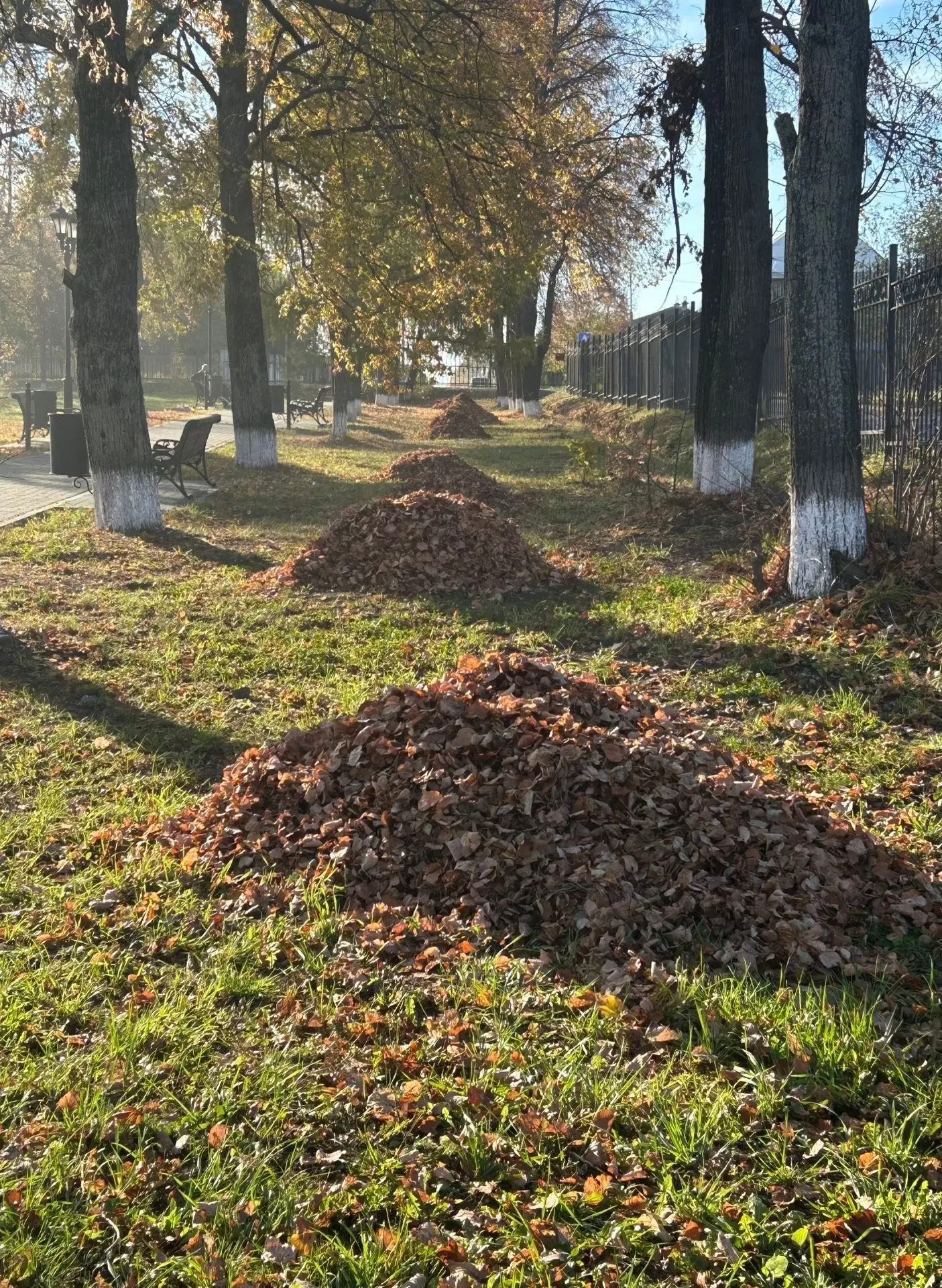 В парке наводят красивости😊
