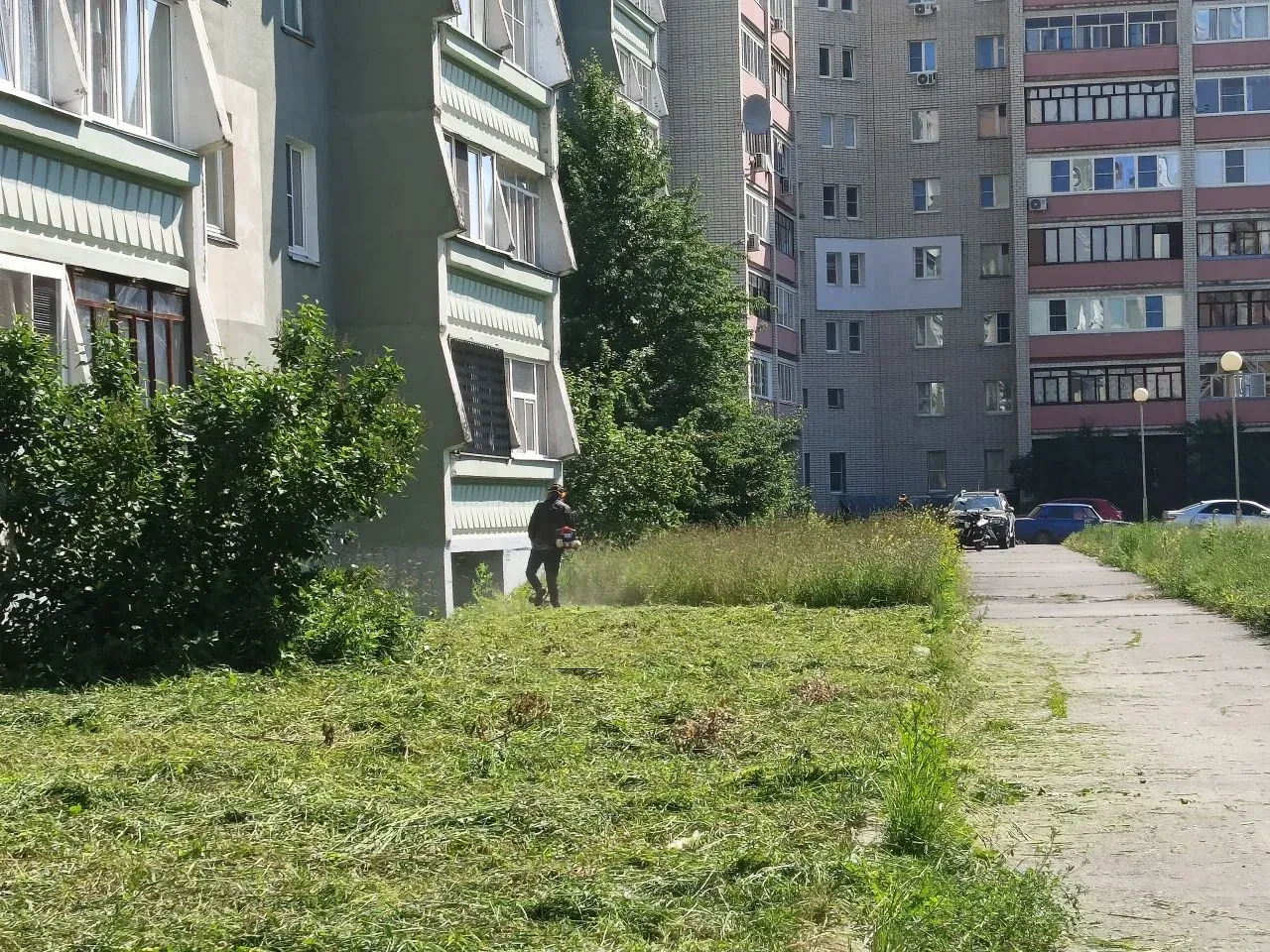 Отчет о проведении работ по покосу придомовой территории. 

Период выполнения: с 8 июня по 11 июня 2