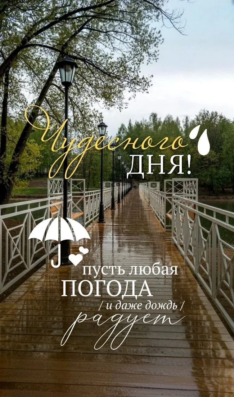 Изображение 1 к публикации «ОТКРЫТКИ»