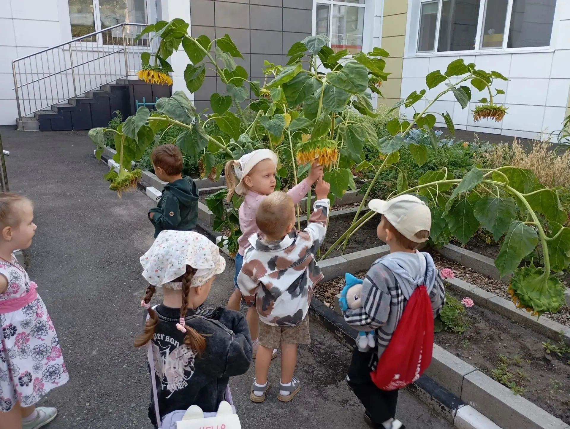 🍎 «ВО  САДУ ЛИ В ОГОРОДЕ»: ЭКСКУРСИЯ, КОТОРАЯ ЗАПОМНИТСЯ НАДОЛГО! 🍅