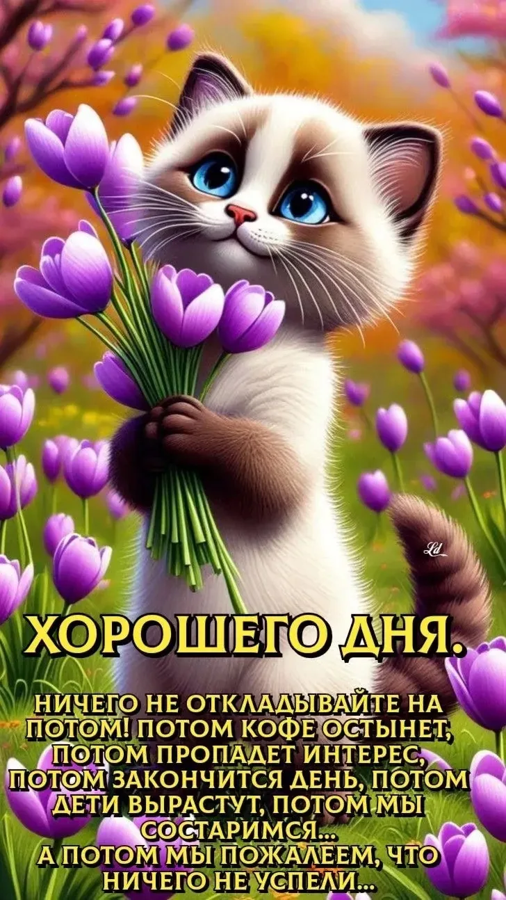 ЖИВАЯ СКАЗКА