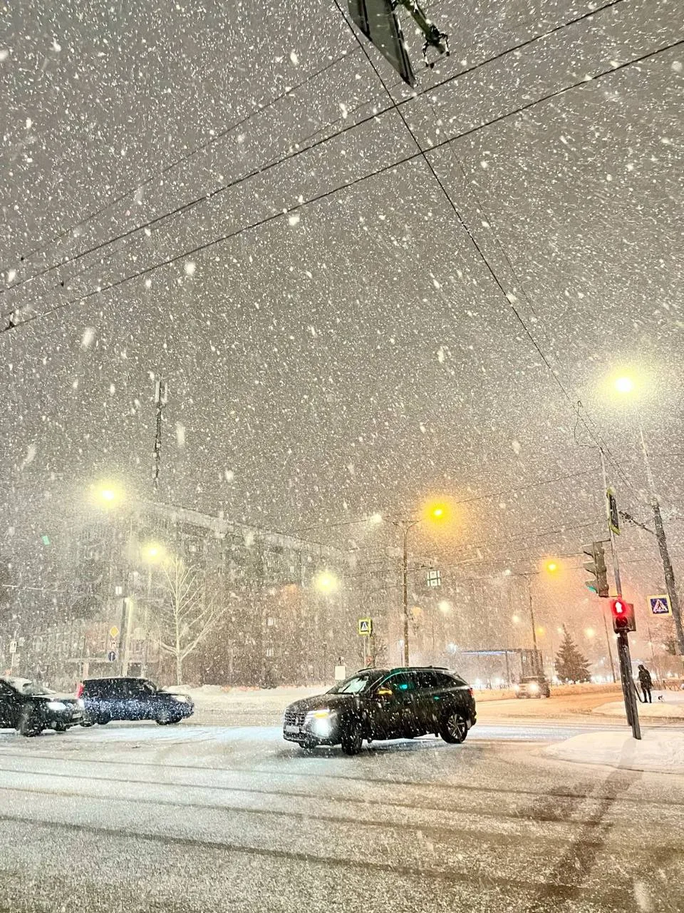 ❄️ Мощный снегопад обещают синоптики в Воронежской области — до 20 см 17 февраля.  13 - 16 февраля о